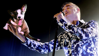 Morrissey announces a pup-up shop to benefit animal rescue in Brooklyn